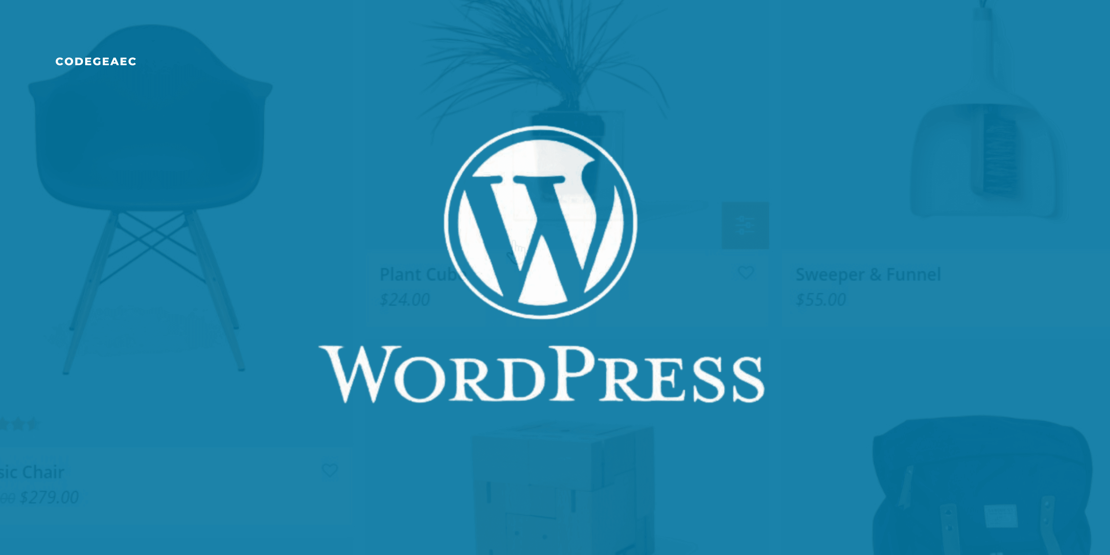 Imagen de Subir productos simples en Wordpress: Paso a paso